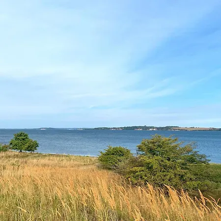 Reethaus Boddenblick In Alt Reddevitz - 4 Lägenhet *